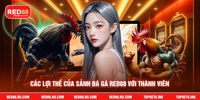 Các lợi thế của sảnh đá gà Red88 với thành viên