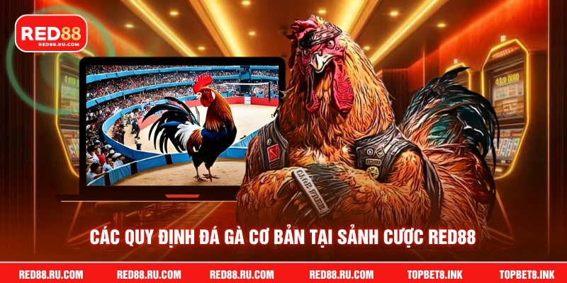 Các quy định đá gà cơ bản tại sảnh cược RED88