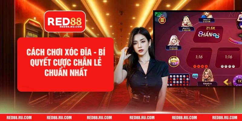 Cách Chơi Xóc Đĩa - Bí Quyết Cược Chẵn Lẻ Chuẩn Nhất