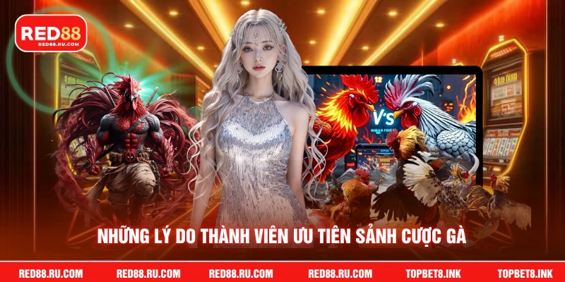 Những lý do thành viên ưu tiên sảnh cược gà