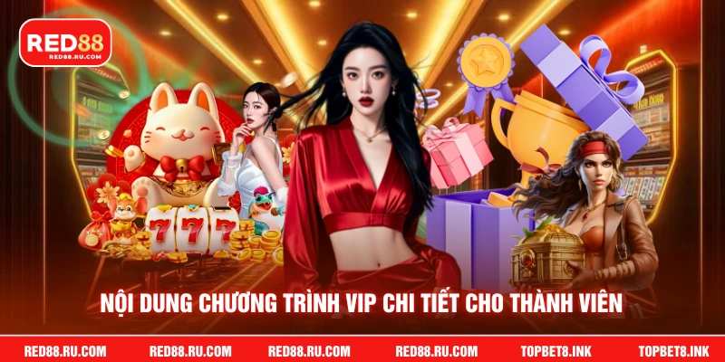 Nội dung chương trình VIP chi tiết cho thành viên